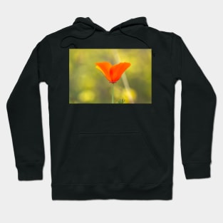 poppy Hoodie